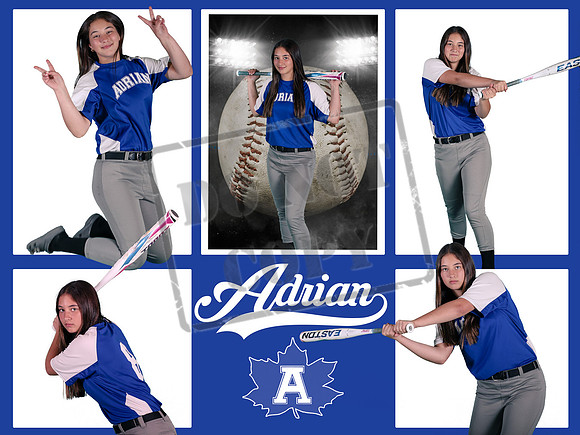 Alexis Fox Collage